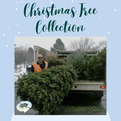 A picture of a member of the WFWRD collecting a Christmas Tree under the words "Christmas Tree Collection"